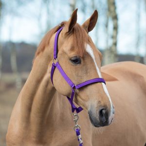 HORZE Lillad nailonpäitsed neopreenist pehmendustega