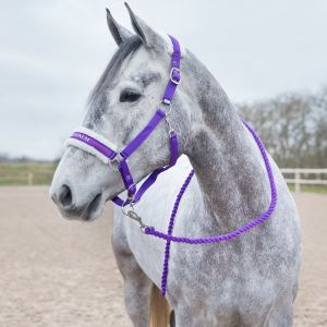 HORZE Lilla puuvillane pehme jalutusnöör HOWARD (2m)