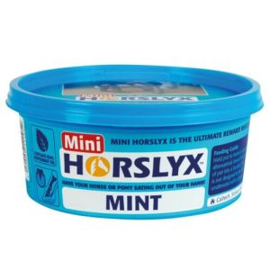 HORSLYX Piparmündi ja mineraalidega lakukivi MINI LICK MINT (650 gr.)