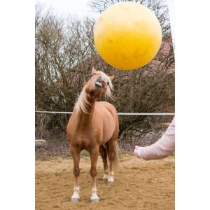 MAXIMUS Suur kollane hobuste mängupall POWER PLAY (100 cm)