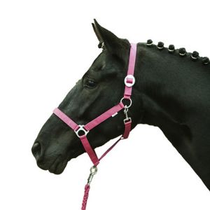 HKM Roosad nailonpäitsed -STARS ECONOMY SOFTICE-