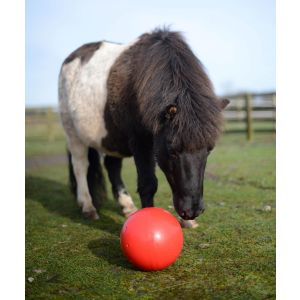 LIKIT Igavusepeletaja SNAK-A-BALL
