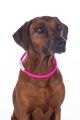 HKM Roosa valgustatud kaelarõngas koertele -LED-