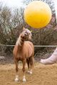 MAXIMUS Suur kollane hobuste mängupall POWER PLAY (100 cm)