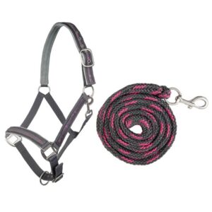 HKM Head collar & lead rope, snap hook -Stars-
