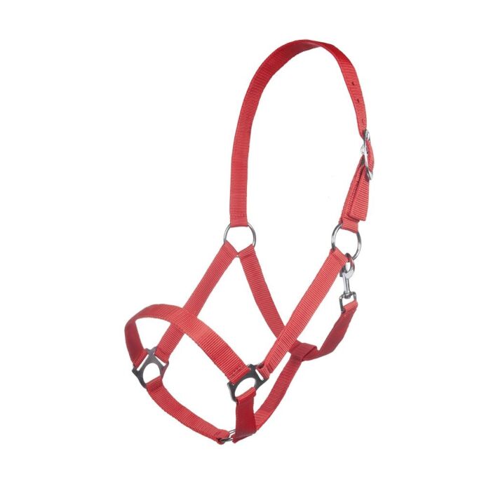 HKM Head collar -Innsbruck- - Image 4