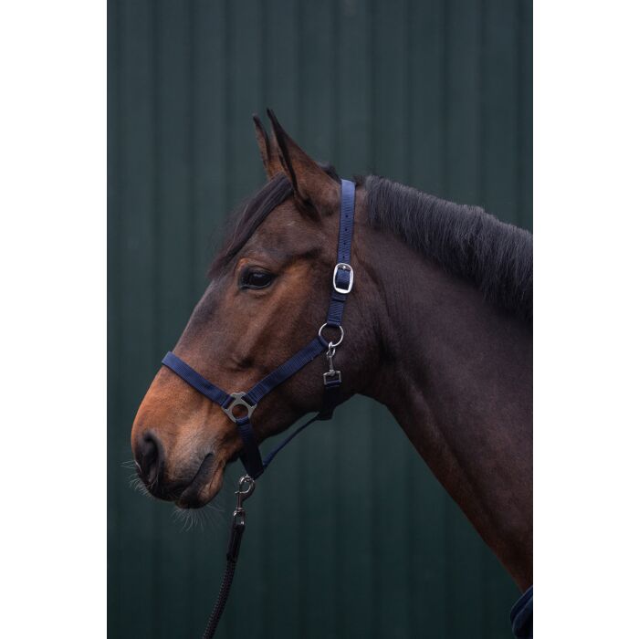 HKM Head collar -Innsbruck- - Image 2
