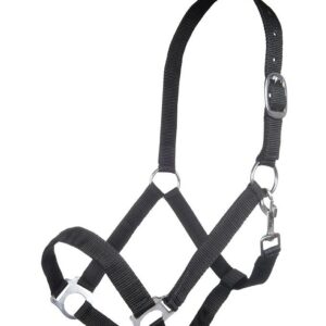 HKM Head collar -Innsbruck-