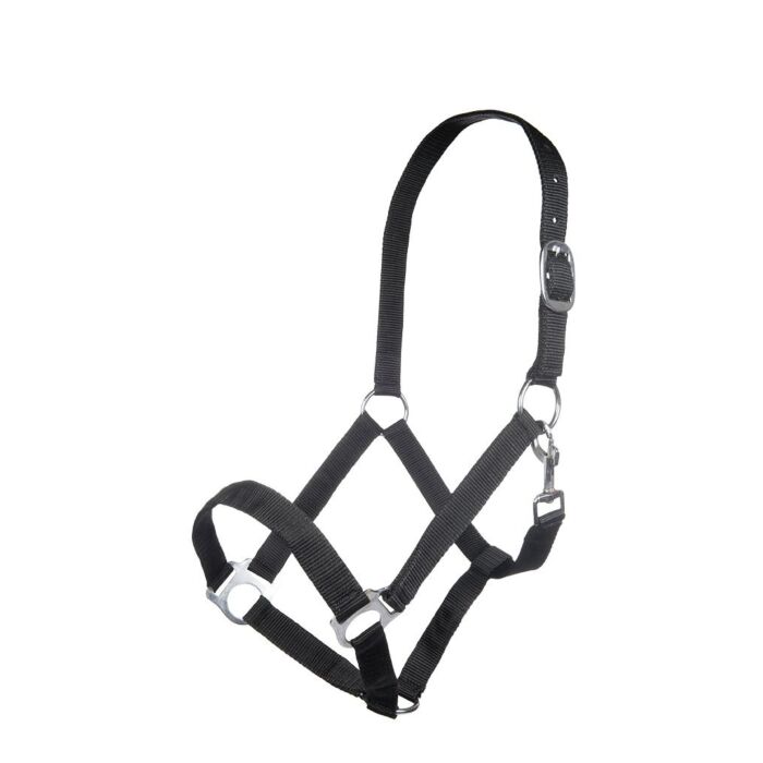 HKM Head collar -Innsbruck- - Image 3