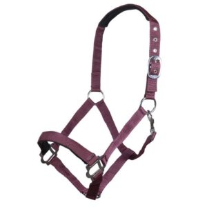 HKM Head collar -Sydney- Style, with soft padding