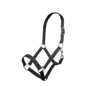 HKM Head collar -Brisbane-