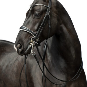 HKM Double bridle -Dina