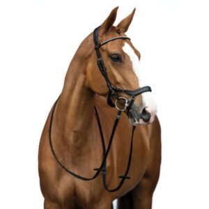 HKM Bridle -Pro Anatomic-