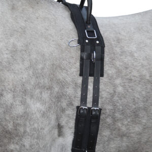 HKM Lunge roller -Canvas- with handle