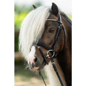 HKM Bridle -Shetty Diamond-