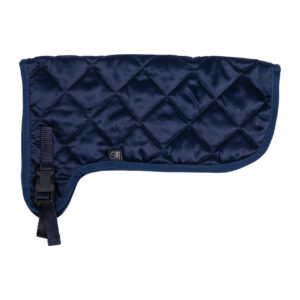 HKM Rug -Hobby Horsing-