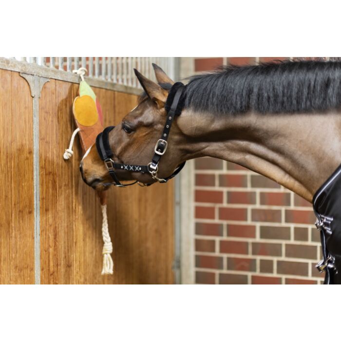 HKM Toy for horses -Ice cream- - Image 5