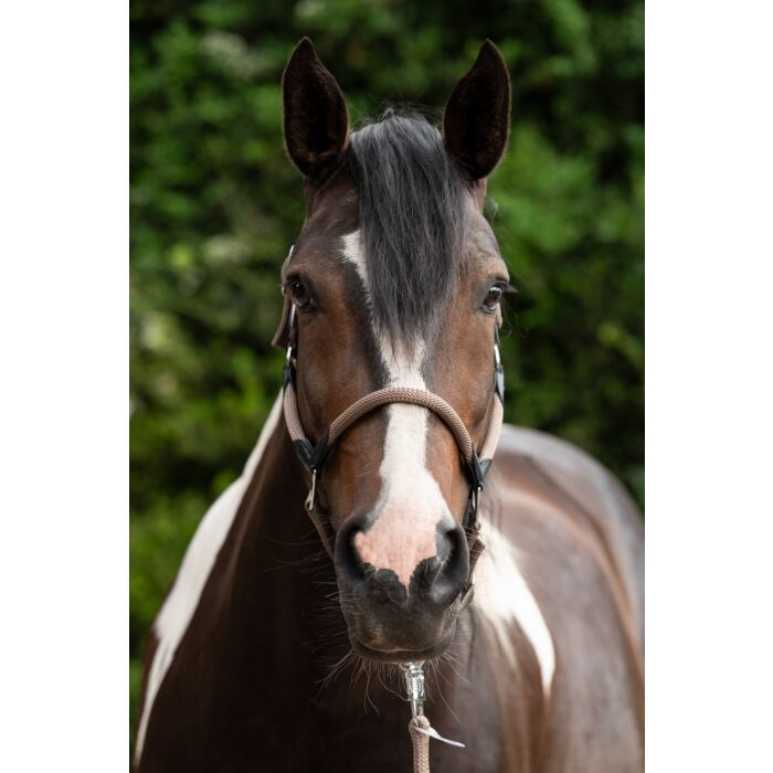 HKM Head collar -Carlotta- - Image 9