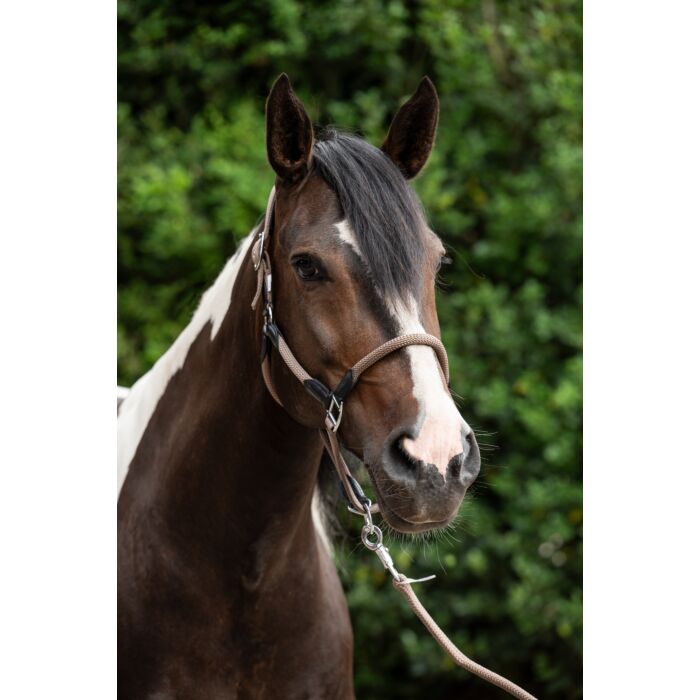 HKM Head collar -Carlotta- - Image 7