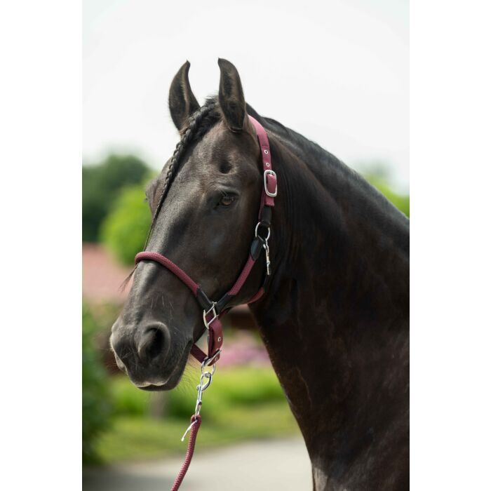 HKM Head collar -Carlotta- - Image 3