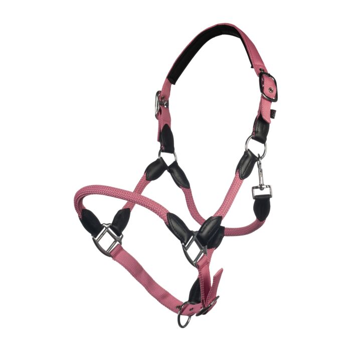 HKM Head collar -Carlotta- - Image 17