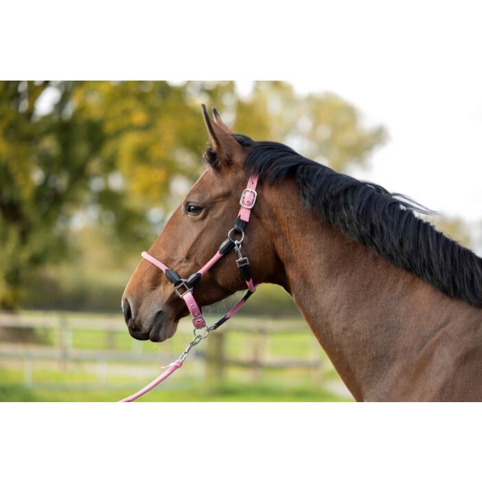HKM Head collar -Carlotta- - Image 5
