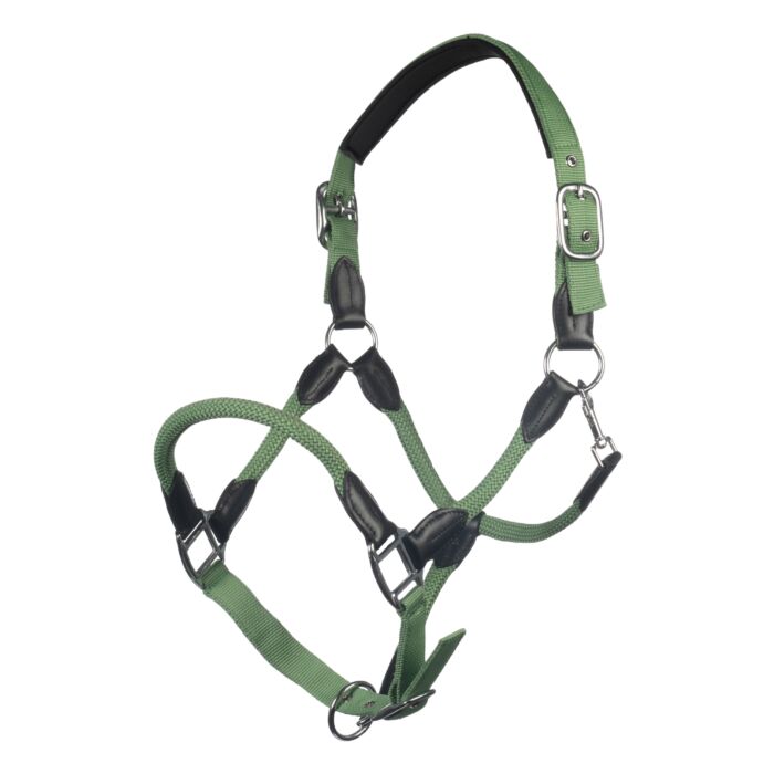 HKM Head collar -Carlotta- - Image 20