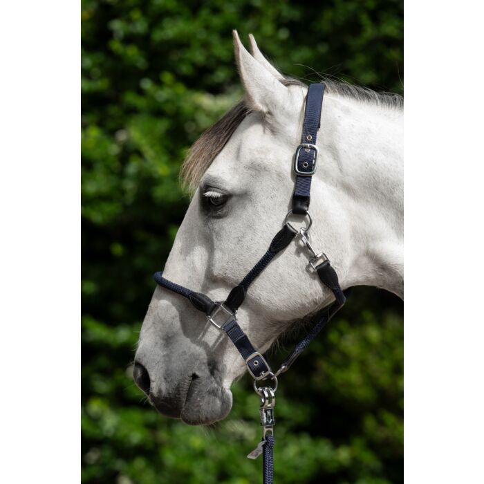 HKM Head collar -Carlotta- - Image 6