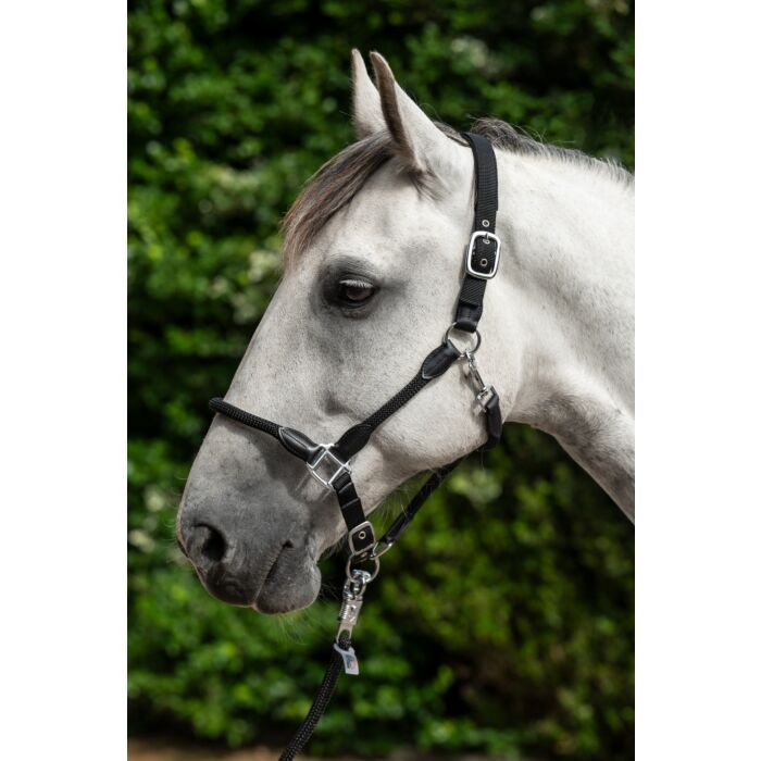 HKM Head collar -Carlotta- - Image 2
