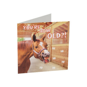 HORKA Greeting Card HORSES