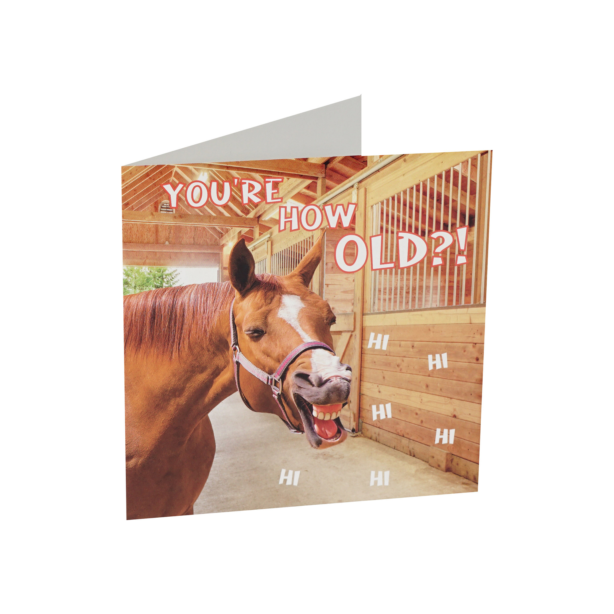 HORKA Greeting Card HORSES