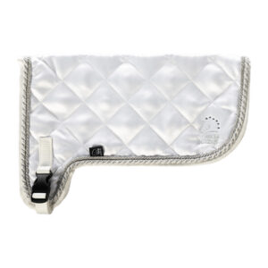 HKM Rug Competition -Hobby Horsing-