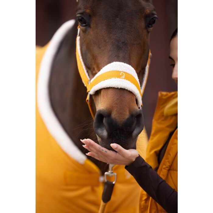 HKM Head collar -Arezzo- - Image 8