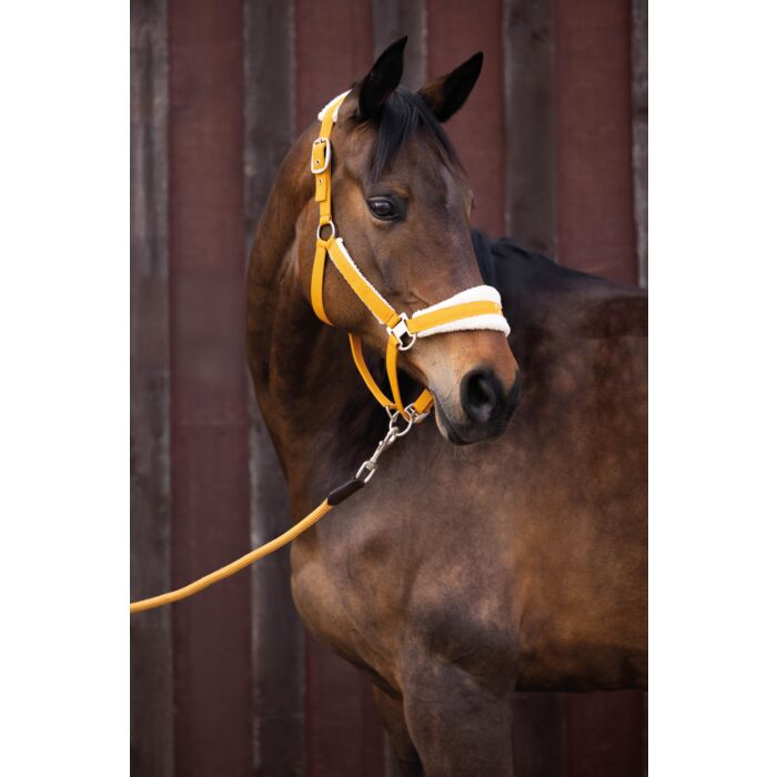 HKM Head collar -Arezzo- - Image 5
