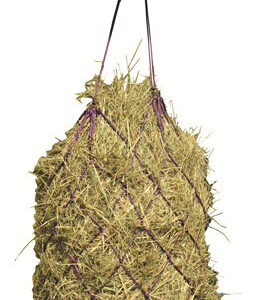 HKM Haynet -Economic