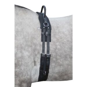 HKM Lunge roller with handle