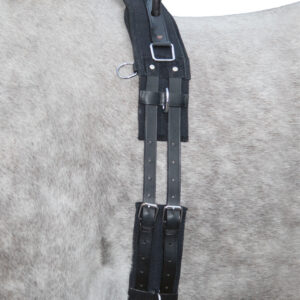 HKM Lunge roller with handle