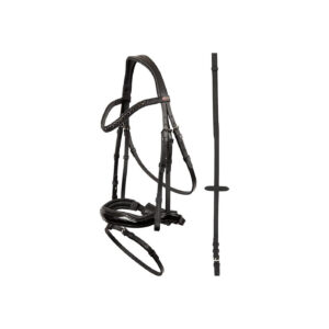 PREMIERE Bridle Lorient