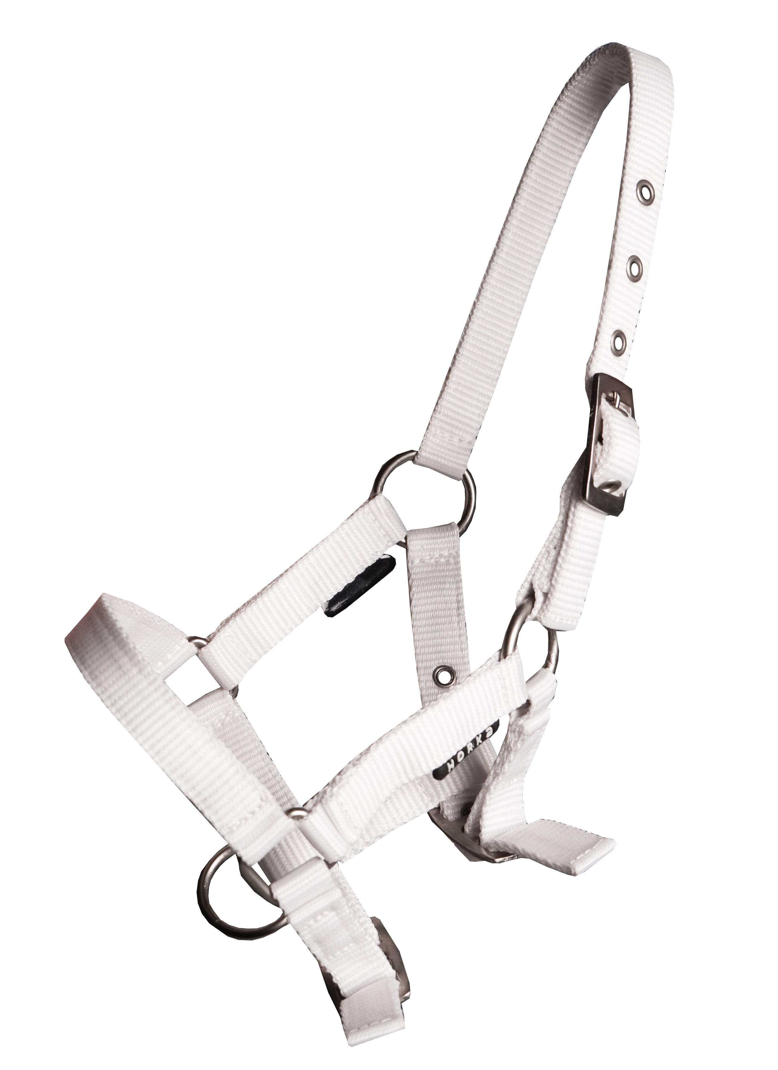 HORKA Halter Basic FOAL