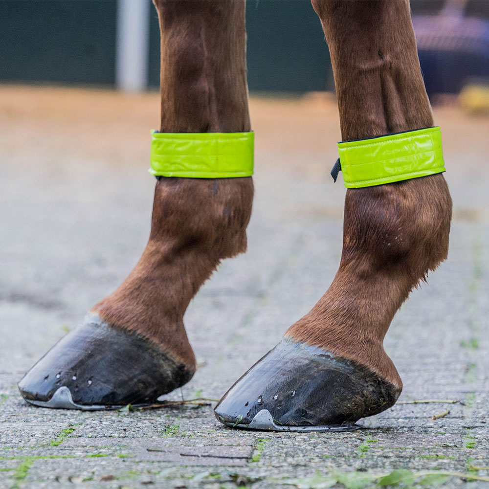 HORKA Reflective leg wraps PER PAIR