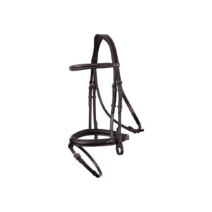 Bridle BR Kendal
