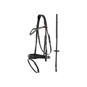 PREMIERE Bridle Fontaine