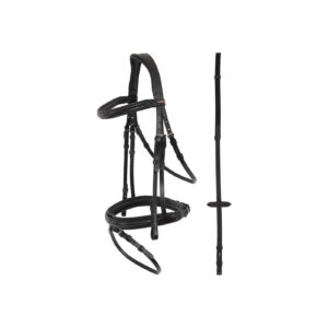 PREMIERE Bridle Bondy T-Flash with rein