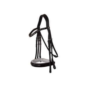 BR Weymouth Bridle Wendover