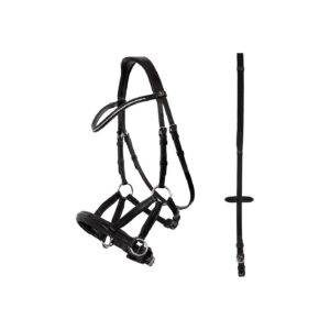 BR Bridle Lewes Side and Pull