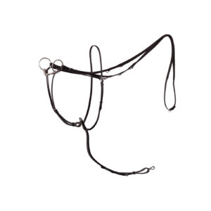 BR Market Harborough Lancaster with Martingale