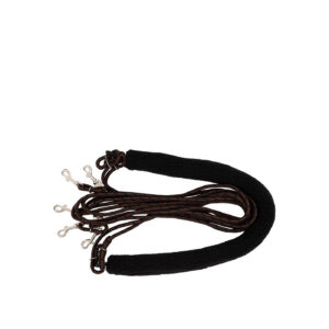 PREMIERE Lunging Aid Pessoa