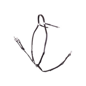 BR Breastplate Rayleigh with Saddle Reins