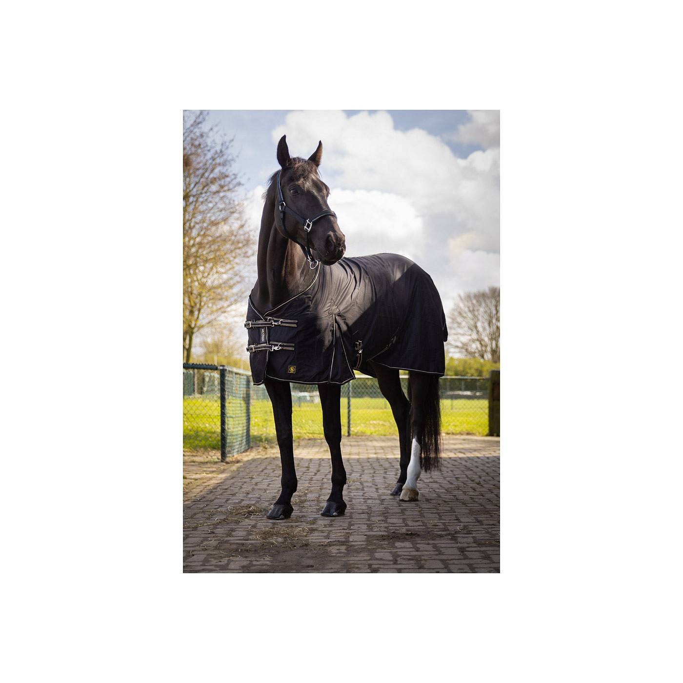 BR Rug Classic cotton - Image 2