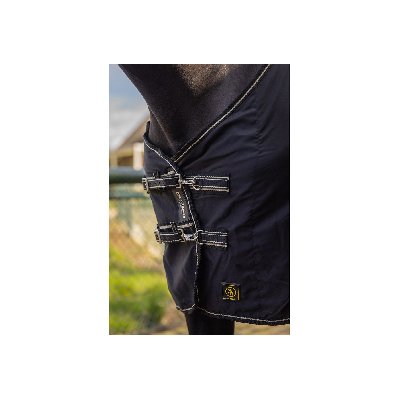 BR Rug Classic cotton - Image 3